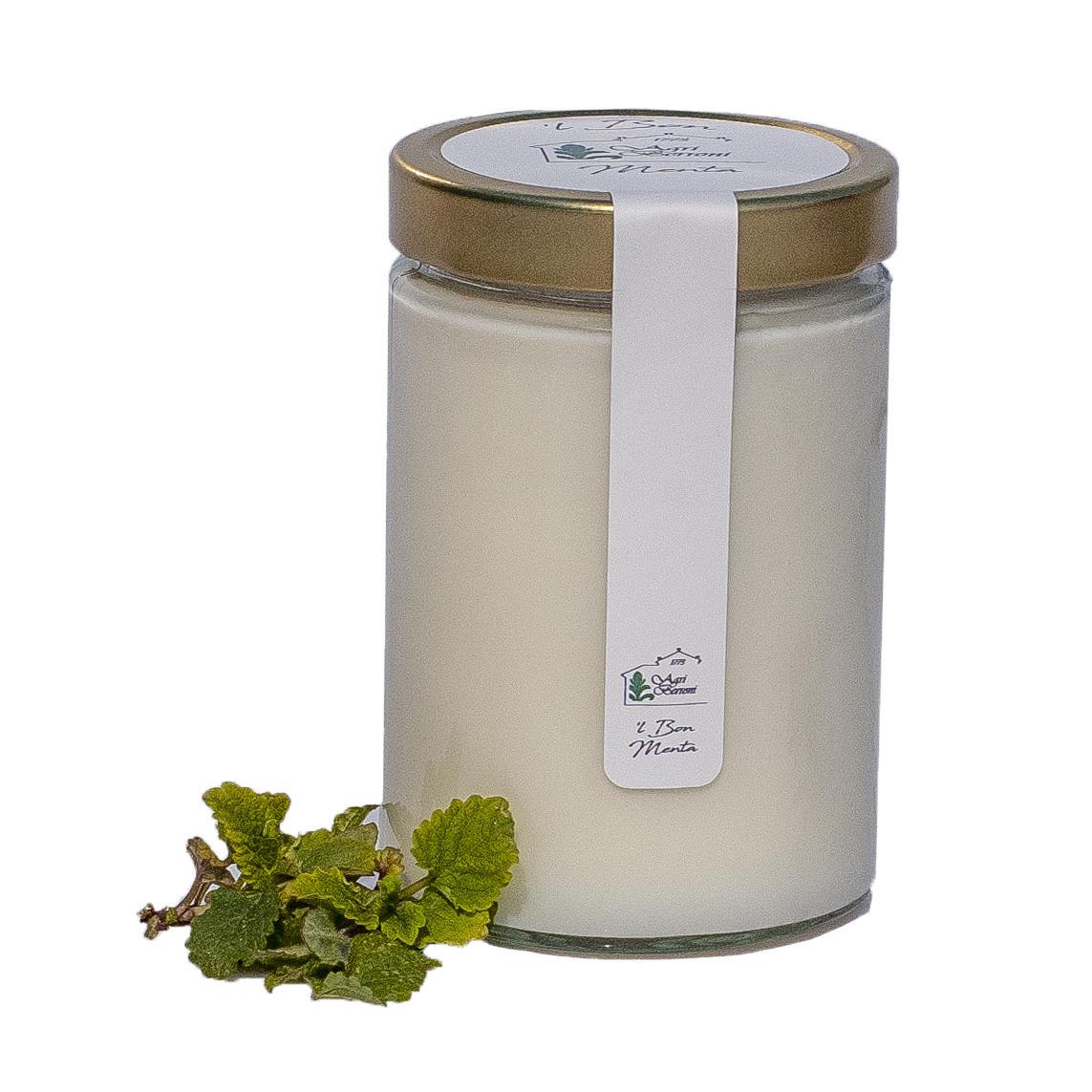 Gelato alla Menta 580 Ml