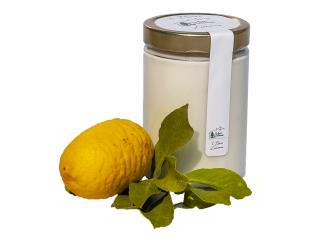 Sorbetto al Limone 580 Ml